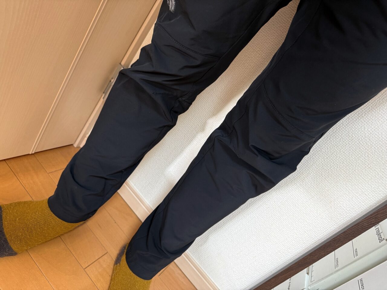 ノースフェイス アルパインライトパンツ